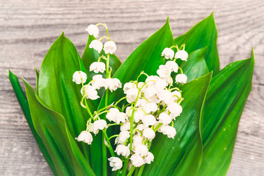 Similar image 11486675