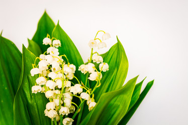 Similar image 11486676