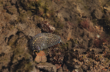 Similar image 11488192