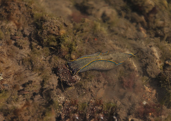 Similar image 11488193