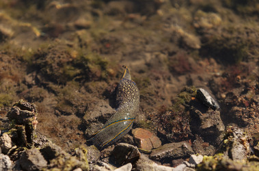 Similar image 11488194