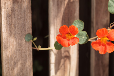 Similar image 11488203