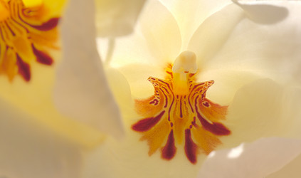 Similar image 11488232