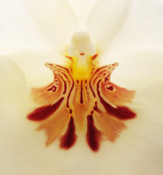 Similar image 11488235