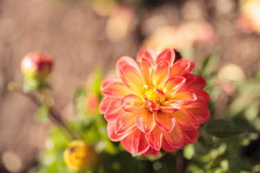 Similar image 11488242