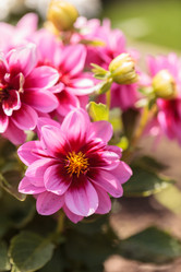 Similar image 11488245