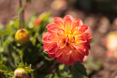 Similar image 11488246