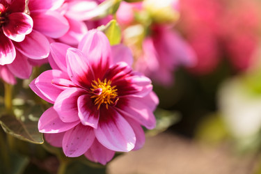 Similar image 11488248