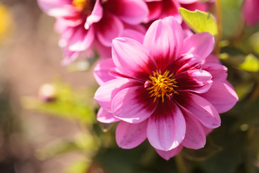 Similar image 11488252