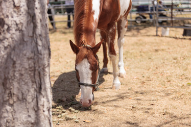 Similar image 11488255