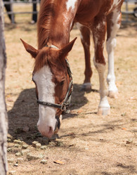 Similar image 11488256