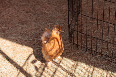 Similar image 11488258