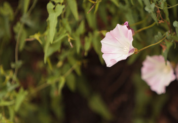 Similar image 11488259