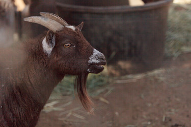 Similar image 11488273