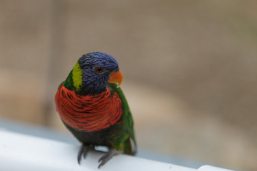 Similar image 11488283