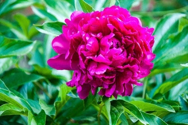 Similar image 11485418