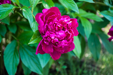 Similar image 11485419