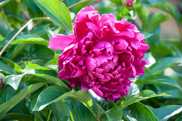 Similar image 11485420