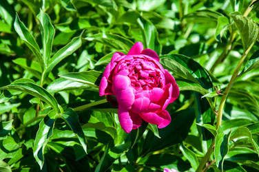 Similar image 11485421