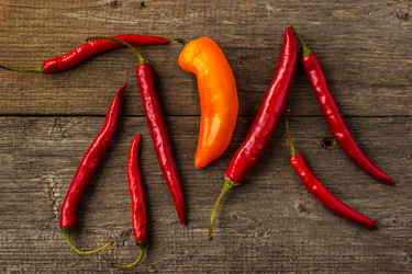 Similar image 11485129