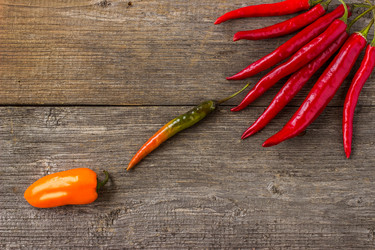 Similar image 11485130