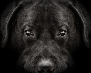 Similar image 11485470