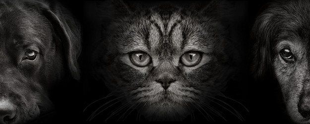 Similar image 11485471