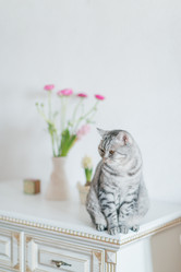 Similar image 11486624