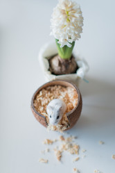 Similar image 11486636