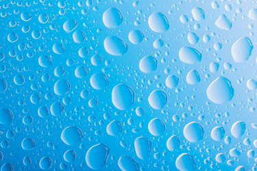 Similar image 11487646