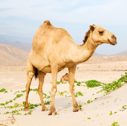 Similar image 11487758