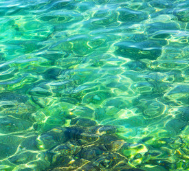 Similar image 11487772