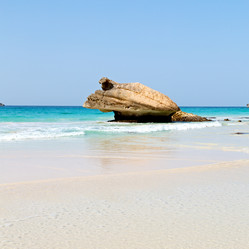 Similar image 11487775