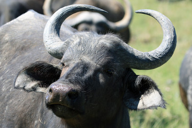 Similar image 11487348