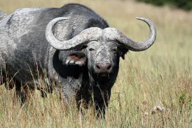 Similar image 11487349