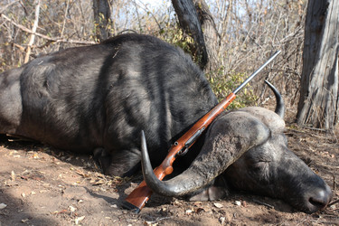 Similar image 11487352