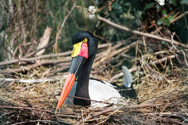 Similar image 11487380