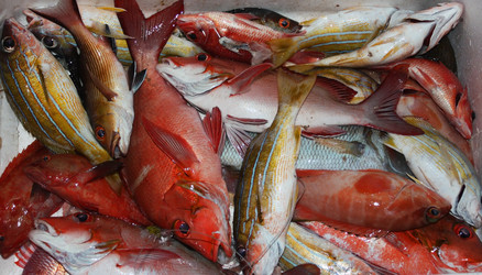 Similar image 11487330