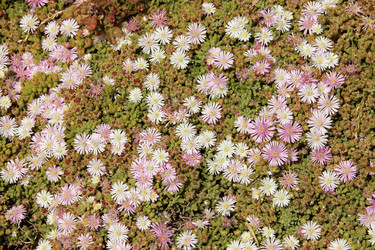 Similar image 11487332