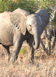 Similar image 11487335