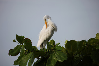 Similar image 11487337