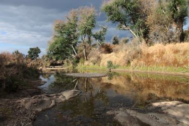 Similar image 11487340