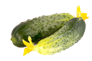 Similar image 11487294