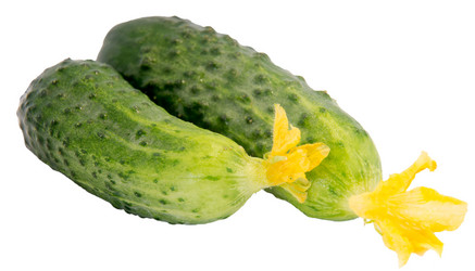 Similar image 11487295