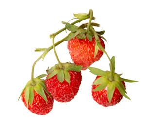 Similar image 11487297