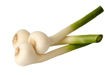 Similar image 11487308