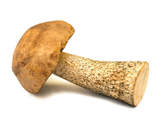 Similar image 11486982