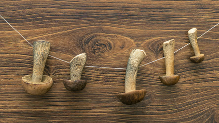 Similar image 11486984