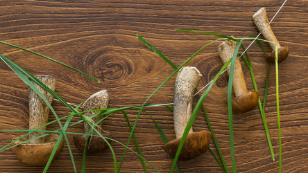 Similar image 11486891