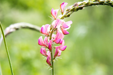 Similar image 11487311